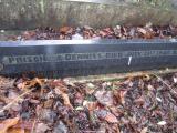 image of grave number 373647